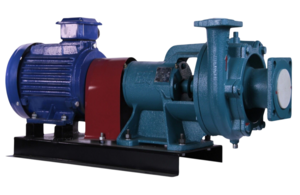 Насос ESQ К 160/30 с эл.дв. 30/1500