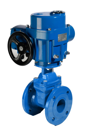 Задвижка чугунная с обрезиненным клином REON тип RSV61, PN16 сэлектроприводом 220В