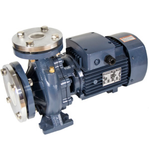 Насос ENSI PST80-125/75 DN100x80