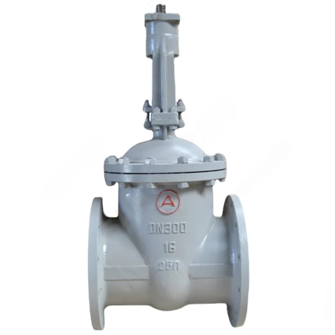 Задвижка Арма-Пром DN50 Ру16 п/эл А купить с доставкой по РФ