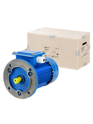 Электродвигатель TDM АИР 100L6 2,2 кВт 1000 об/мин 3081