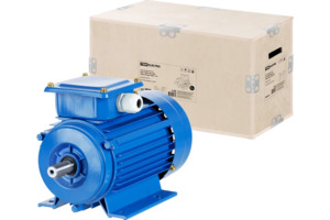 Электродвигатель TDM АИР 100L4 4 кВт 1500 об/мин 1081