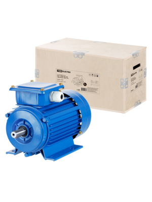 Электродвигатель TDM АИР 112MA6 3 кВт 1000 об/мин 1081