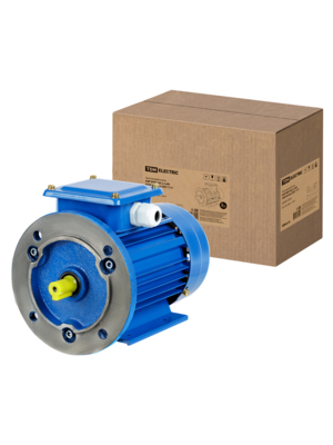 Электродвигатель TDMАИР 80B2 2,2 кВт 3000 об/мин 2081